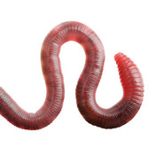 ◮ Трогал грудь - steam id 76561199207310742