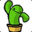 Un Cactus