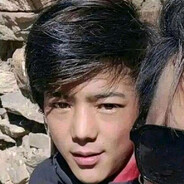 维新派-尼古丁真