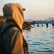 切二仙桥走成华大道