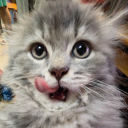 拉登是我干掉的