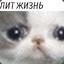 Я КАКАЮ ТУАЛЕТЭ