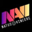 NVAI Nerniy