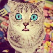 Kolpino_EBASHer :: OmG