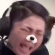 大事不妙雷霆猪