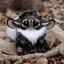 cute kitty