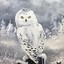 Frost Owl