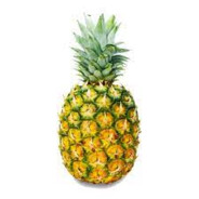 PineappleOn_Pizza