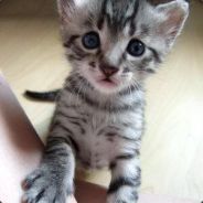 yustiKar - steam id 76561197965531973