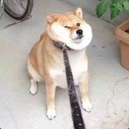 传说中的大表哥