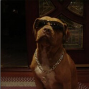 Advogado de Inocentes