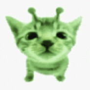 FrogY