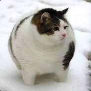 打钱这种脏活交给我