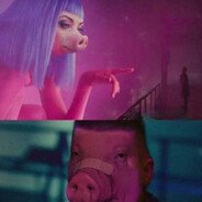 Фирма Подрачини