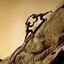 kirimartin's avatar