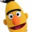 Bert