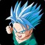 Trunks