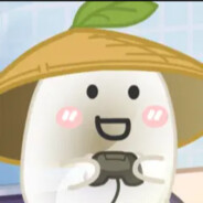 骑着皮弗娄牛去看海