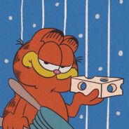 一只正在gogo的加菲