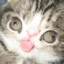 Tiamats_Top_Hat