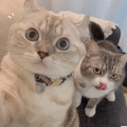 我才五岁我好累