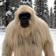 El Blanco