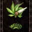 WeedKing