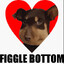 FiggleBottom