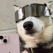 翻斗幼儿园花岗岩