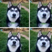 你有医保你先上