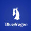 BlueDragon21