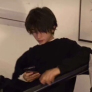 青衣白马徐凤年