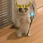 Gato Loki Opresor