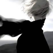 w1r3Les - steam id 76561199771814476