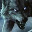 shadow_wolf