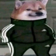 _BoLT_
