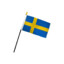 svensk cs2-spelare