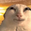 Quantumplays123