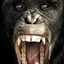 King of apes