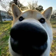 干拉然后刷抖音