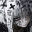 why?YoRizz's avatar