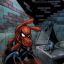 spiderham24