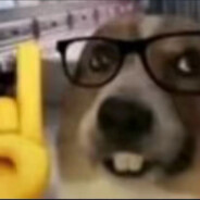 俺寻思俺应该能赢