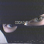 Fur seal "240km/h.PEEK