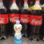 kola.kilastop