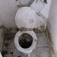 toiletfan2