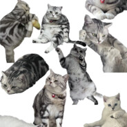 艺术就是派大星