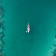 初一