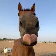 咴咴咴咴咴咴咴咴咴