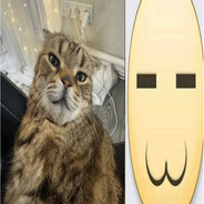 Danity777_︻芫==--